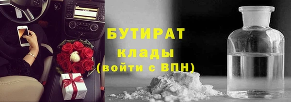 прущие грибы Аркадак