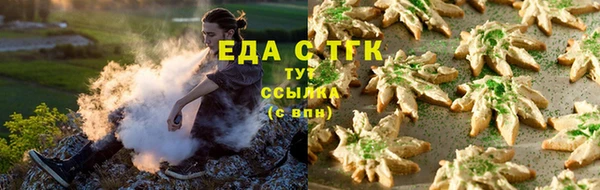 прущие грибы Аркадак